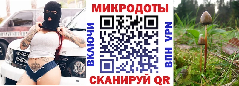 Купить где  Сенгилей  Псилоцибиновые грибы GOLDEN TEACHER 